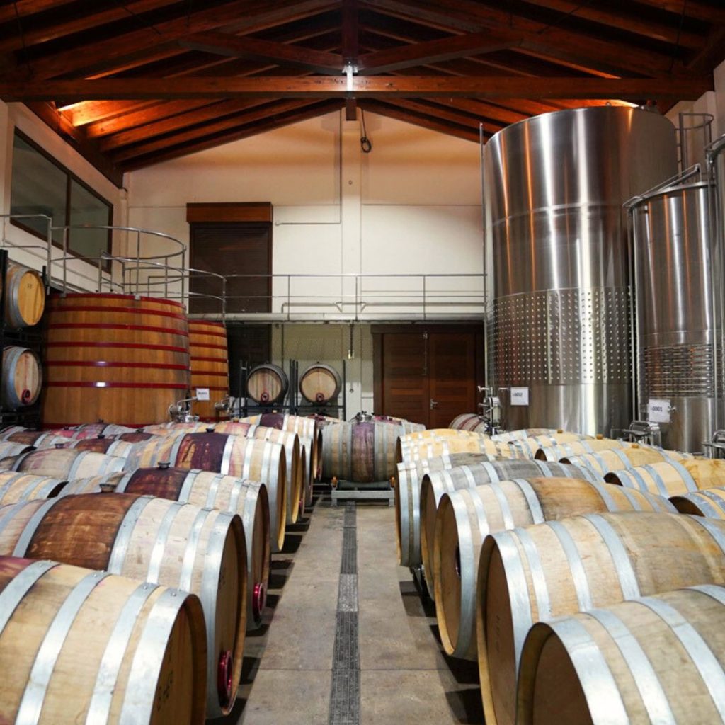 bodegas sancha